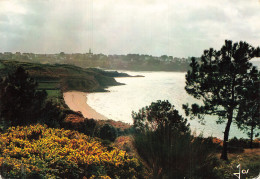 Delcampe - 29 CARANTEC - Carantec