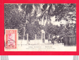 Delcampe - E-Senegal-456Ph83  SAINT LOUIS, L'entrée D'un Jardin à Sor, Cpa - Senegal