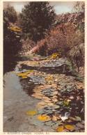 Delcampe - B651 Canada Butchart's Gardens Victoria BC Vintage Postcard - Victoria