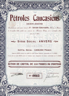 Delcampe - PÉTROLES CAUCASIENS - Pétrole