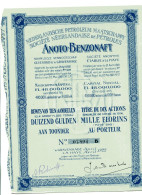 Delcampe - ANOTO BENZONAFT; Titre De Dix Actions Au Total Mille Florins - Pétrole