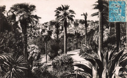 Delcampe - 06-GRASSE-N°T5254-G/0103 - Grasse
