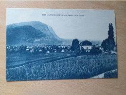Delcampe - Annemasse Et Le Saleve - Annemasse
