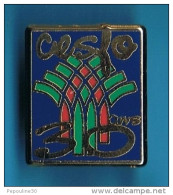 Delcampe - PIN'S //  ** COMITÉ D'ENTRAIDE SOCIALE ** DE LA FACULTÉ D' ORSAY ** C.E.S.F.O. 30 ANS **. (Arc En Ciel) - Associations