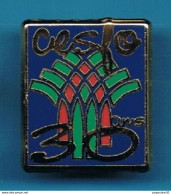 Delcampe - PIN'S //   ** COMITE D'ENTRAIDE SOCIALE DE LA FACULTE D' ORSAY / C.E.S.F.O. // 30 ANS ** . (Arc En Ciel) - Administrations