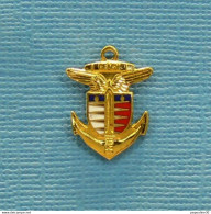 Delcampe - 1 PIN'S //  ** INSIGNE / C.E.A.C.V. ** . (200ex). - Army