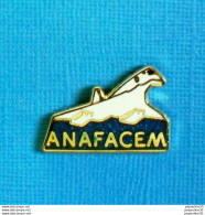 Delcampe - 1 PIN'S //  ** A.N.A.F.A.C.E.M. / CONCORDE / A. N. Des ANCIENS FONCTIONNAIRES De L'AVIATION CIVILE Et De MÉTÉO FRANCE ** - Airplanes