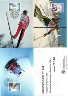 Delcampe - Liechtenstein Maximum Karte 1993 Nr 121 - Maximumkarten (MC)