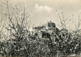 Delcampe - 06 - EZE VILLAGE - Eze