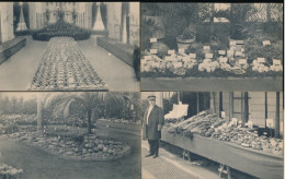 Delcampe - GENT  - EXPOSITION INTERNATIONALE. DE FLORICULTURE, DE POMOLOGIE ET DE CULTURE MARALCHERE.   12 KAARTEN - Leopoldsburg (Camp De Beverloo)