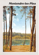 Delcampe - 17-MONTENDRE LES PINS-N°4128-A/0135 - Montendre