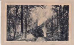 Delcampe - INDE(DARJEELING) TRAIN - Indien