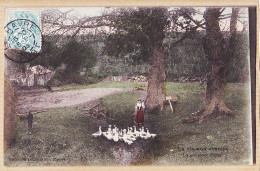 Delcampe - 05449 / LA VIE AUX CHAMPS Métier La Gardeuse D'Oies 1905 à DUCROS Magasins Bains Turcs Rue Temple-DUGAS Nantes - Bauern