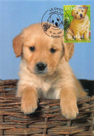 Delcampe - CM CEF - Animaux Domestiques, Le Chiot - 22/4/2006 Paris - 2000-2009