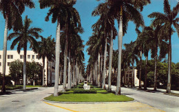 Delcampe - A961 US 1970 Royal Palm Way Palm Beach Florida Vintage Postcard - Palm Beach