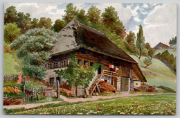 Delcampe - Im Wiesengrund Partie Im Elztal Carte Postale Postcard - Mosbach