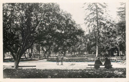 Delcampe - 83-DRAGUIGNAN-N°3025-C/0377 - Draguignan