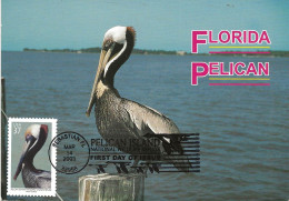 Delcampe - CARTE MAXIMUM - CARTOLINA MAXIMA - MAXICARD - MAXIMUM-KARTE - MAXIMUM CARD - ETATS-UNIS -OISEAUX- Pelicanus Occidentalis - Pélicans