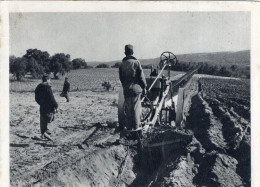 Delcampe - Carte Franchise Militaire :  Près Alger : Les Labours     ///  REF. Janv. 26 N° 33.692 - Oran