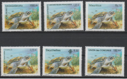 Delcampe - La Tortue Verte Green Turtle Schildkröte 2014 Joint Issue Faune Fauna Madagascar Seychelles France Comores MNH 6 Val. ** - Turtles