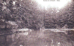 Delcampe - Environs De SAINT HUBERT - Etang - Saint-Hubert