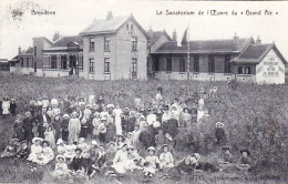 Delcampe - BREDENE Aan ZEE - BREEDENE Sur MER - Oeuvre Du Grand Air -  Le Sanatorium Du Grand Air - Bredene