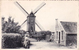 Delcampe - Breedene Bredene S/Mer - De Oude Molen -  Le Vieux Moulin - Bredene