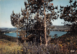 Delcampe - 07 Le Lac-d'Issarlès Le Béage Ancien Volcan Cratère (Scan R/V) N° 3 \PB1102 - Saint Martin De Valamas