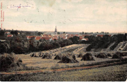 Delcampe - 68 - NEUF BRISACH - SAN38949 - Vue Générale - Neuf Brisach