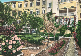 Delcampe - 83 BARGEMON HERMITAGE SAINTE ANNE LE JARDIN - Bargemon