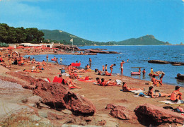 Delcampe - 83 BOULOURIS LA PLAGE DE LA TORTUE - Boulouris