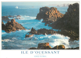 Delcampe - 29 - ILE D'OUESSANT - Ouessant