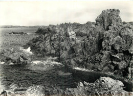 Delcampe - 29 - ILE D'OUESSANT - Ouessant