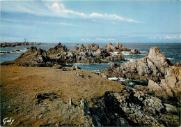 Delcampe - 29 - ILE D'OUESSANT - Ouessant