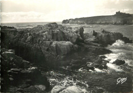 Delcampe - 29 - OUESSANT - Ouessant