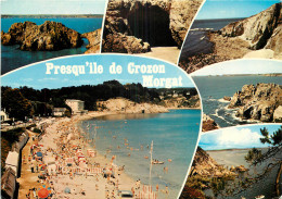 Delcampe - 29 - PRESQU'ILE DE CROZON - Crozon