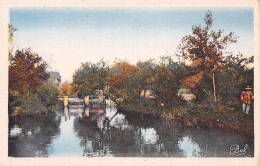 Delcampe - 41-LAMOTTE BEUVRON-N°T2928-H/0207 - Lamotte Beuvron