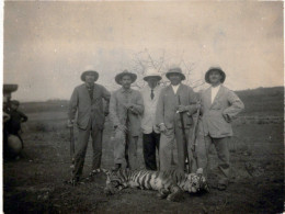 Delcampe - ASIE / INDOCHINE /  RARE PHOTO ANNEES 20 / CHASSE AU TIGRE - Hunting