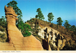 Delcampe - ESPAGNE TENERIFE VISTA PARCIAL DEL  PAISAJE LUNAR - Tenerife