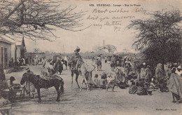Delcampe - B443 Senegal Louga Sur La Place Natives Camel Ethnic Vintage Postcard - Senegal