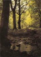 Delcampe - CPSM Bricquebec-Abbaye Notre Dame De Grâce     L4394 - Bricquebec