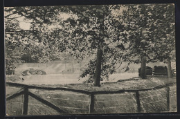 Delcampe - AK Iserlohn, Stadtpark Mit Rupenteich - Iserlohn