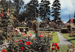 Delcampe - 67-SAVERNE-N°C4076-B/0287 - Saverne