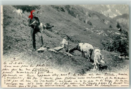 Delcampe - 1874 Champéry 1902 - Bauernmädchen Mit Schafherde - 10601920 - Champéry
