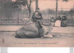 Delcampe - PARIS JARDIN  ZOOLOGIQUE D'ACCLIMATATION LE CHARGEMENT DU DROMADAIRE - Parks, Gärten