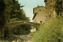 Delcampe - 30 - VALLERAUGUE MONT AIGOUAL - PONT DE LA CONFRÉRIE - Valleraugue