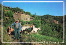 Delcampe - 91 MASSY CENTRE COMMERCIAL LES FRANCIADES - Massy