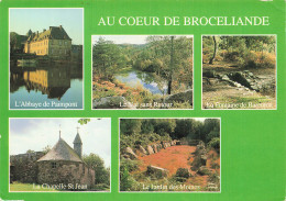 Delcampe - 35 PAIMPONT LA FORET DE BROCELIANDE - Paimpont