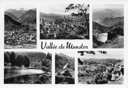 Delcampe - 68 MUNSTER VALLEE DE MUNSTER - Munster