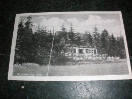 Delcampe - Bad Elster Waldkaffee Besitzer Werner Friedrich Ca. 40er Jahre Gebäude - Bad Elster